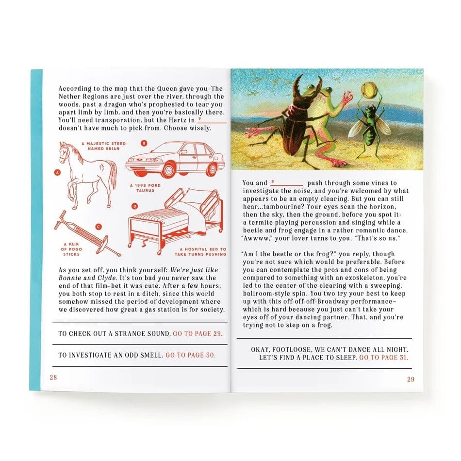 Make Your Own Romantasy Activity Book Chronicle Books - Brass Monkey Books
