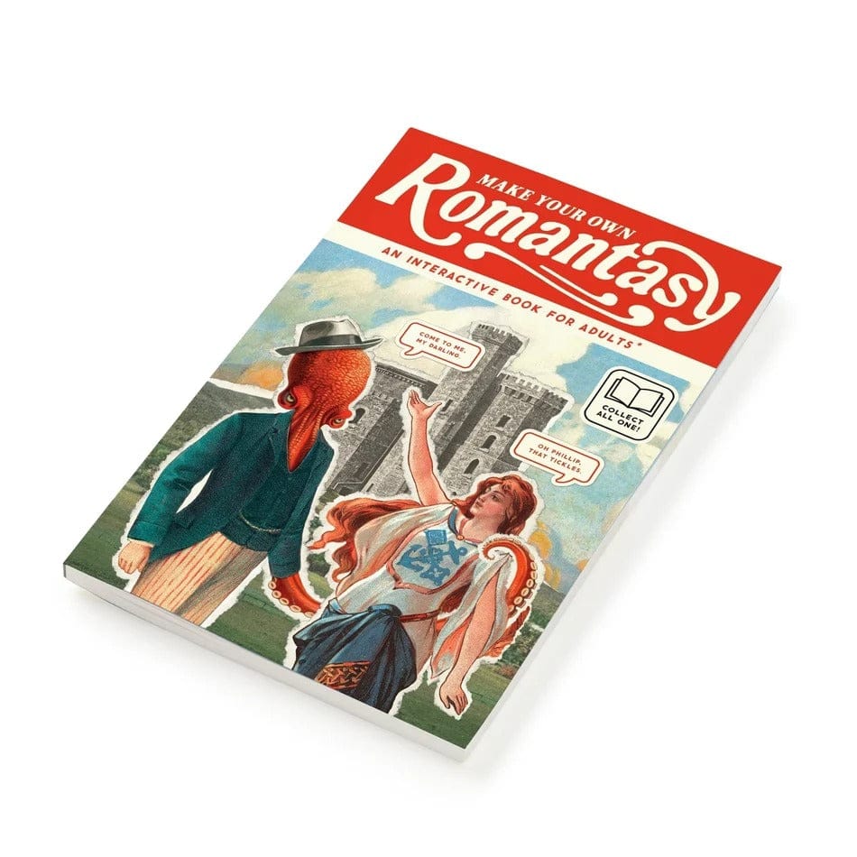Make Your Own Romantasy Activity Book Chronicle Books - Brass Monkey Books