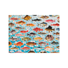 Judgy Fish 1000 Piece Jigsaw Puzzle Chronicle Books - Brass Monkey Toys & Games - Puzzles & Games - Jigsaw Puzzles