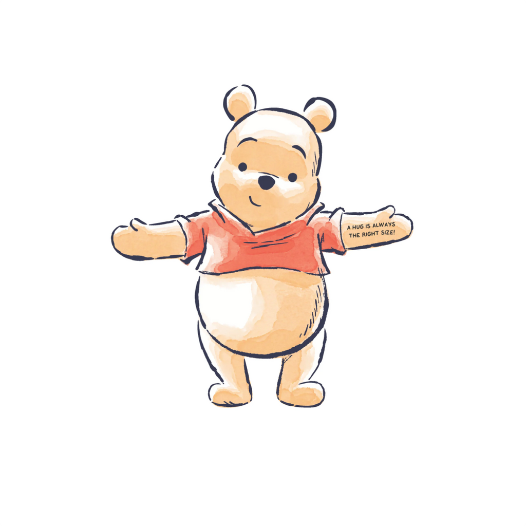 Disney Winnie the Pooh Hugs Notecards Set Chronicle Books Cards - Boxed Cards - Notecards