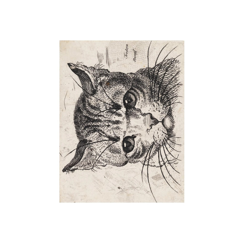 Cats Of The V&A Postcards Chronicle Books Cards - Post Card
