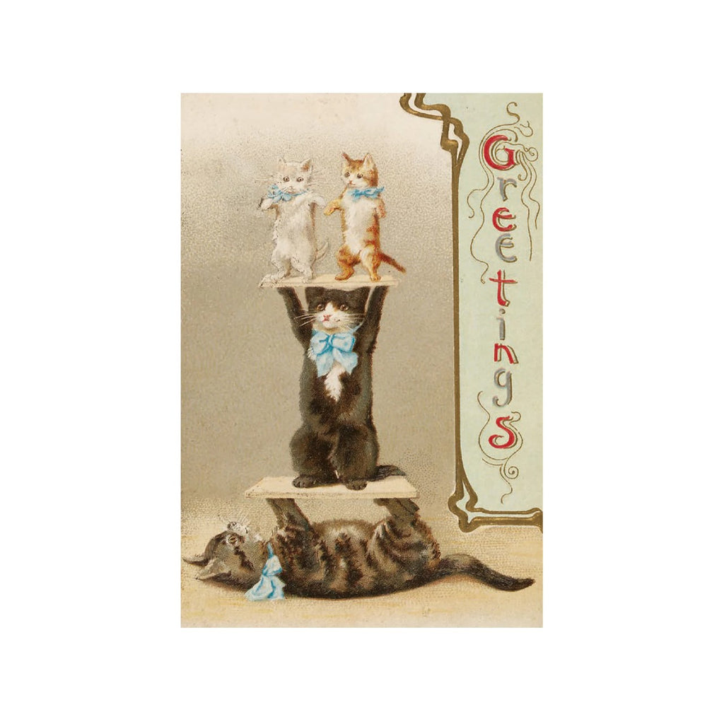 Cats Of The V&A Postcards Chronicle Books Cards - Post Card