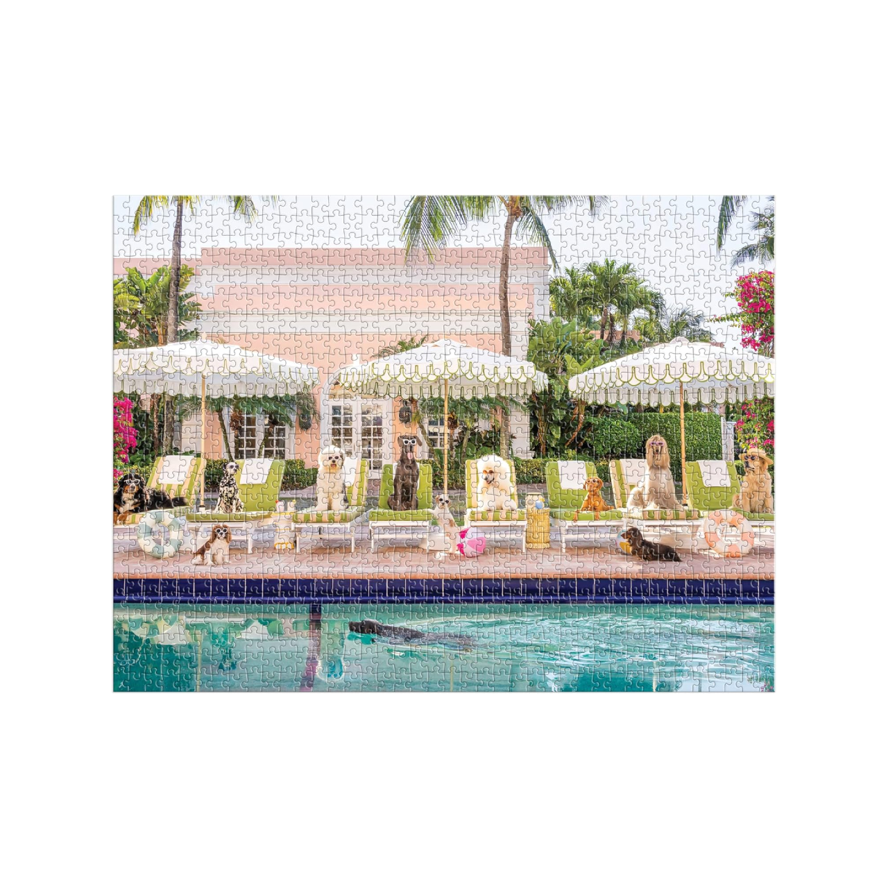Gray Malin Puzzle 1000 Pezzi 'Palm Beach Poolside' | Cagnolini Al Colony Hotel, Scatola Libro Con Chiusura Magnetica, 35.5x47 Cm - 2