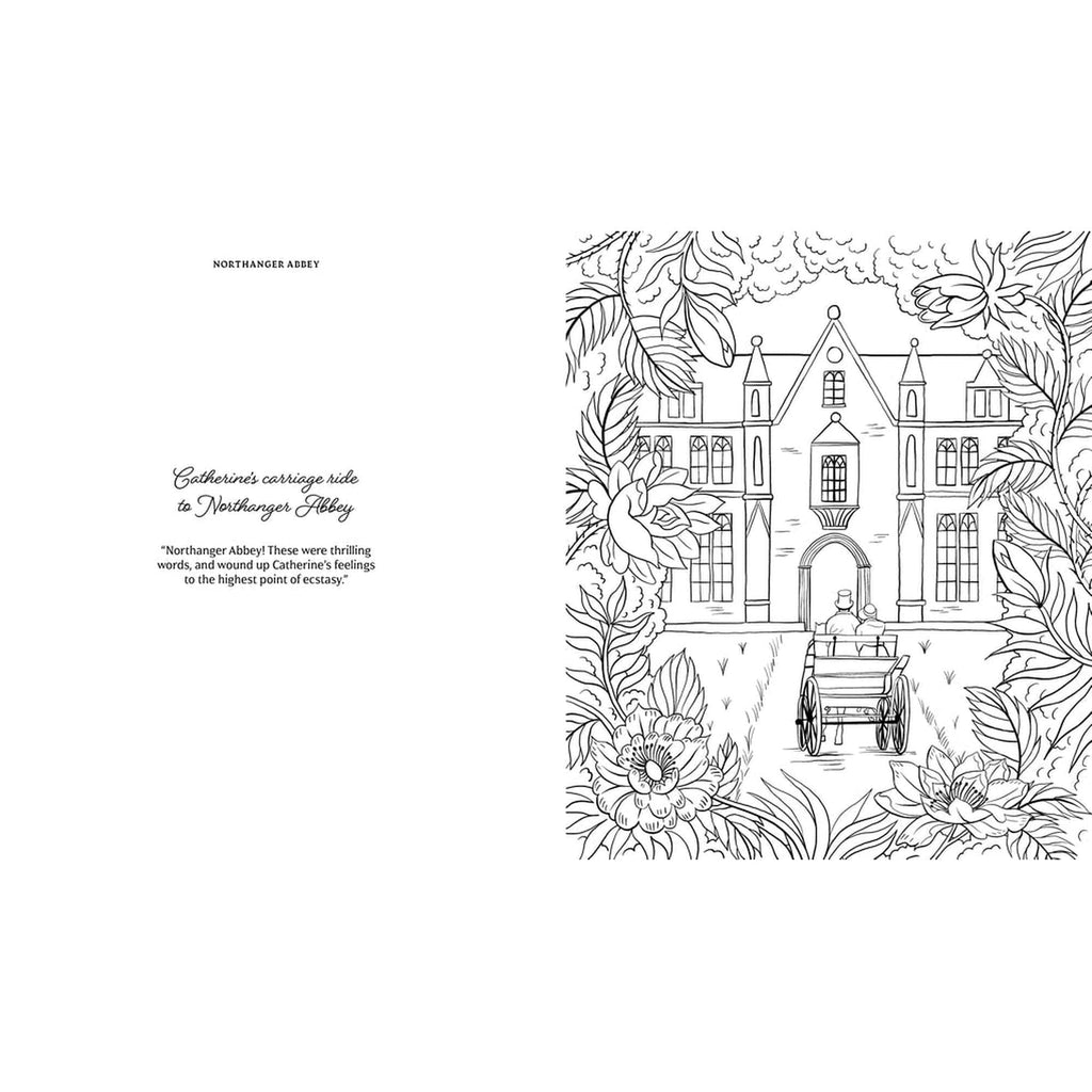 The World of Jane Austen Coloring Book Chronicle Books - Laurence King Books - Coloring
