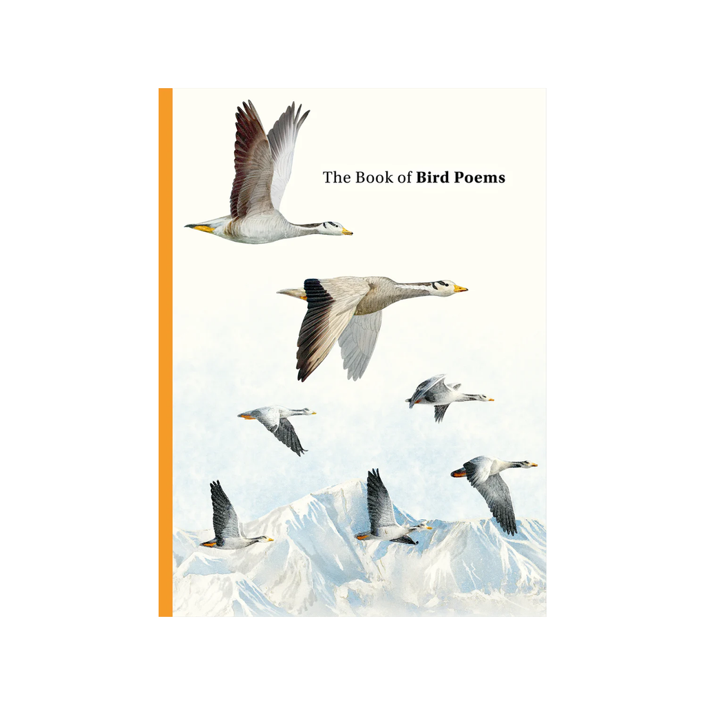 The Book Of Bird Poems Book Chronicle Books - Laurence King Books