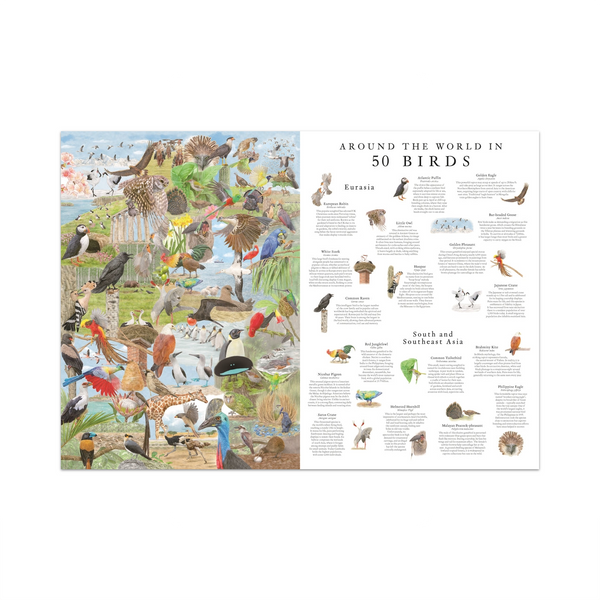 Around The World in 50 Birds 1000 Piece Jigsaw Puzzle Chronicle Books - Laurence King Toys & Games - Puzzles & Games - Jigsaw Puzzles