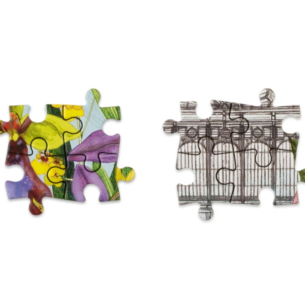 Around The World In 50 Plants 1000 Piece Jigsaw Puzzle Chronicle Books - Laurence King Toys & Games - Puzzles & Games - Jigsaw Puzzles