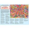 The World of Harry 1000 Piece Jigsaw Puzzle Chronicle Books - Laurence King Toys & Games - Puzzles & Games - Jigsaw Puzzles
