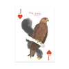 Field Guide to Dumb Birds Playing Cards Chronicle Books Toys & Games - Puzzles & Games - Playing Cards