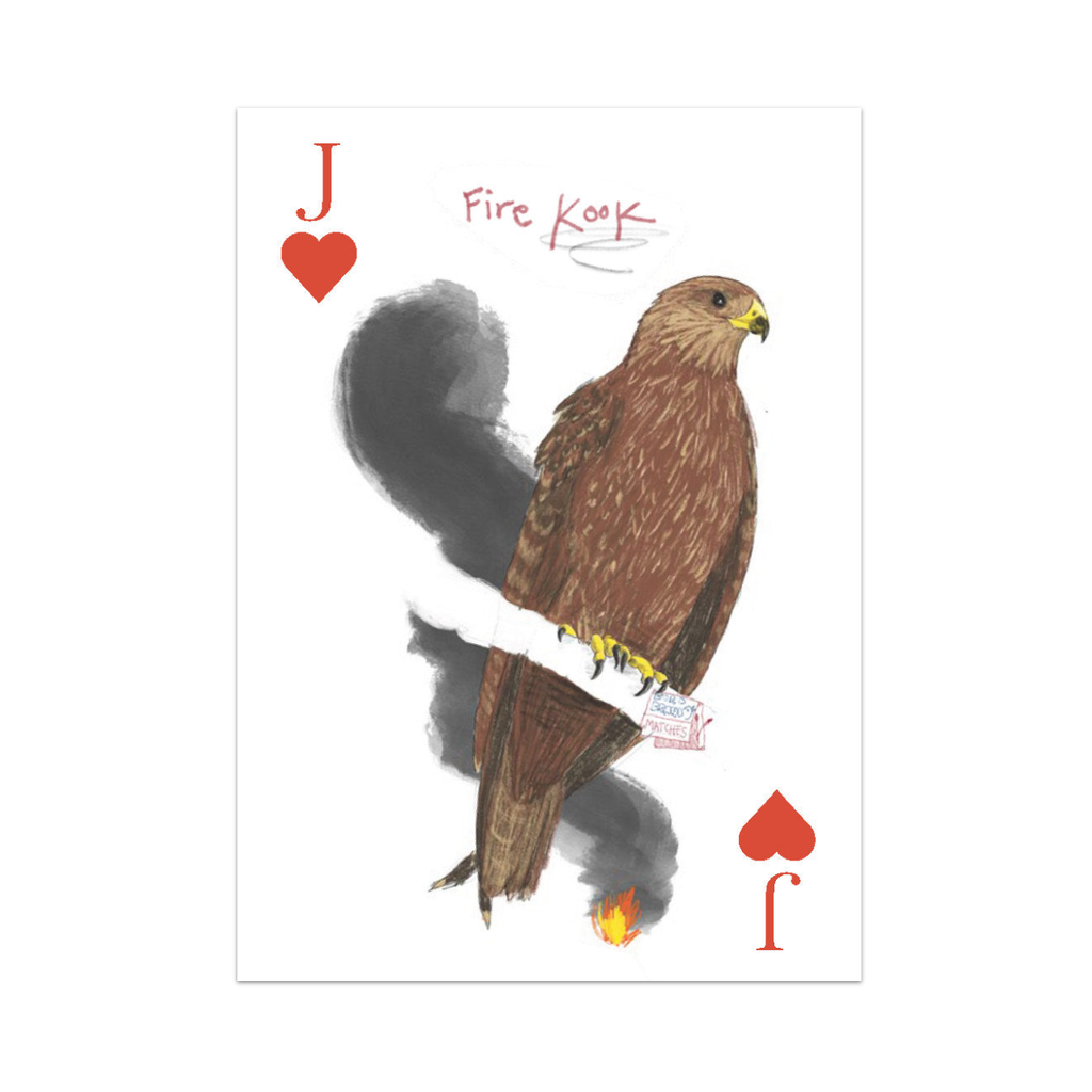 Field Guide to Dumb Birds Playing Cards Chronicle Books Toys & Games - Puzzles & Games - Playing Cards