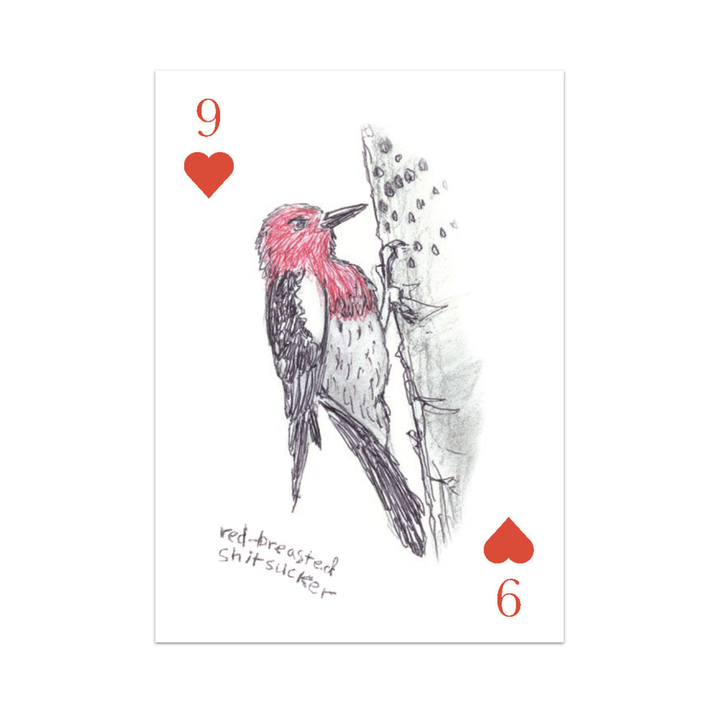 Field Guide to Dumb Birds Playing Cards Chronicle Books Toys & Games - Puzzles & Games - Playing Cards