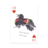 Field Guide to Dumb Birds Playing Cards Chronicle Books Toys & Games - Puzzles & Games - Playing Cards