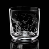 Night Sky Star Chart Whiskey Glass Cognitive Surplus Home - Mugs & Glasses - Whiskey & Cocktail Glasses