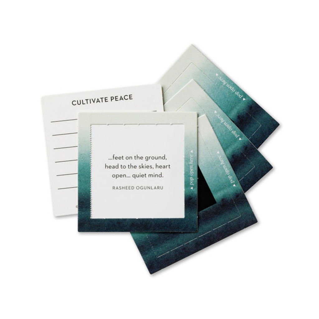 Embrace Calm Thoughtfulls Compendium Cards