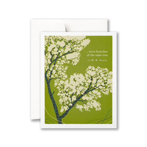 Branches Of The Same Tree Love Card Compendium Cards - Love