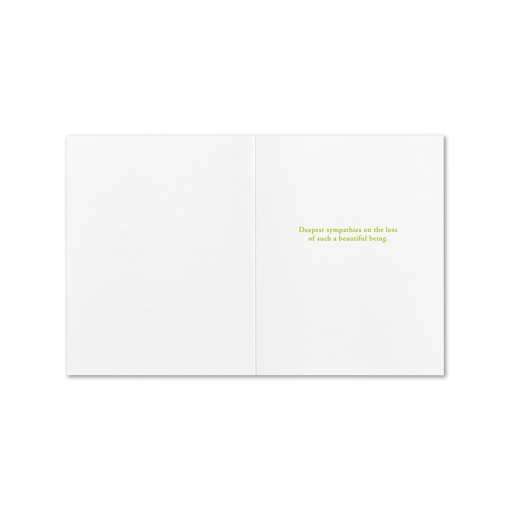 There Was So Much To Love Pet Sympathy Card Compendium Cards - Sympathy - Pet