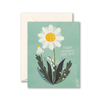 Thank Goodness For You Thank You Card Compendium Cards - Thank You