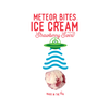 Meteor Bites Freeze Dried Candy Ice Cream - Strawberry Swirl Copernicus Candy, Chocolate & Gum