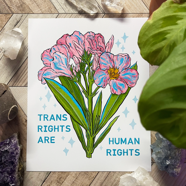 Trans Rights Are Human Rights Print Fabulously Feminist Home - Wall & Mantle - Artwork