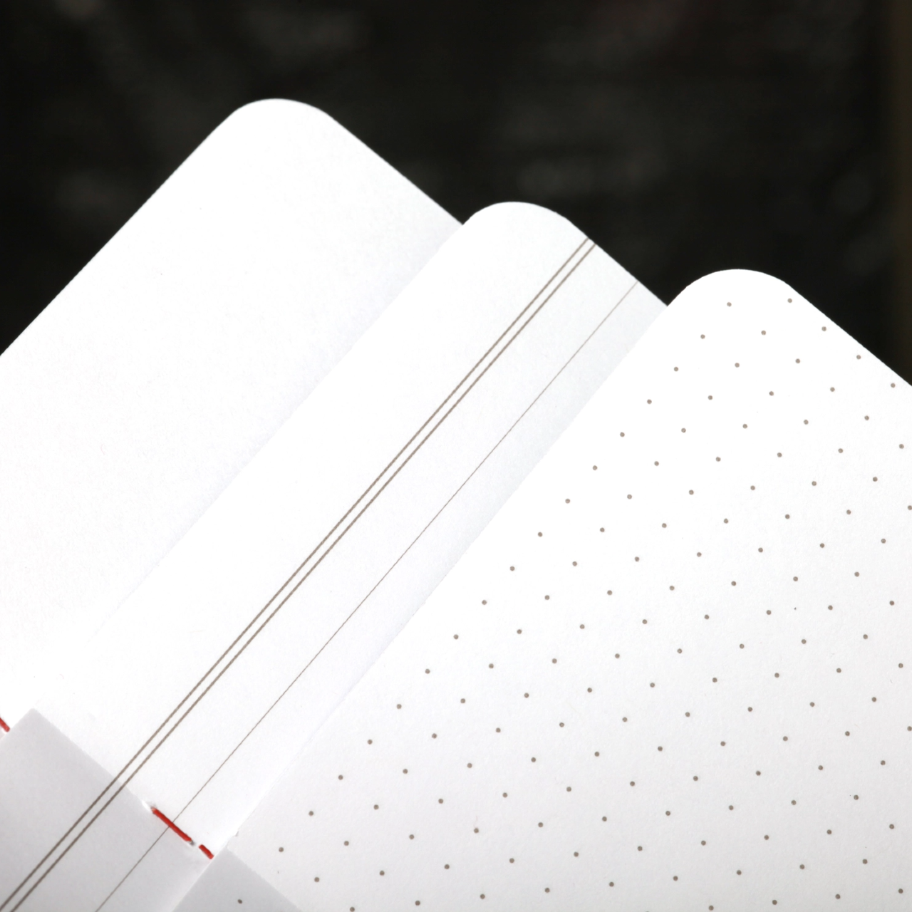 Field Notes - Flora - Spring 2024 Quarterly Edition – Urban General Store