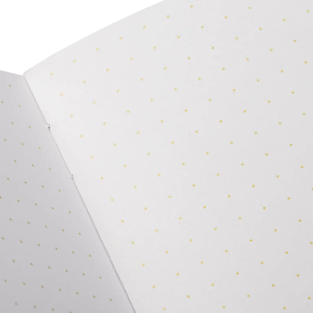Field Notes Paletas - 3 Packs Field Notes Books - Blank Notebooks & Journals