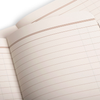 Field Notes Spring 2026 Quarterly Edition - Lucky 3-Packs Field Notes Books - Blank Notebooks & Journals