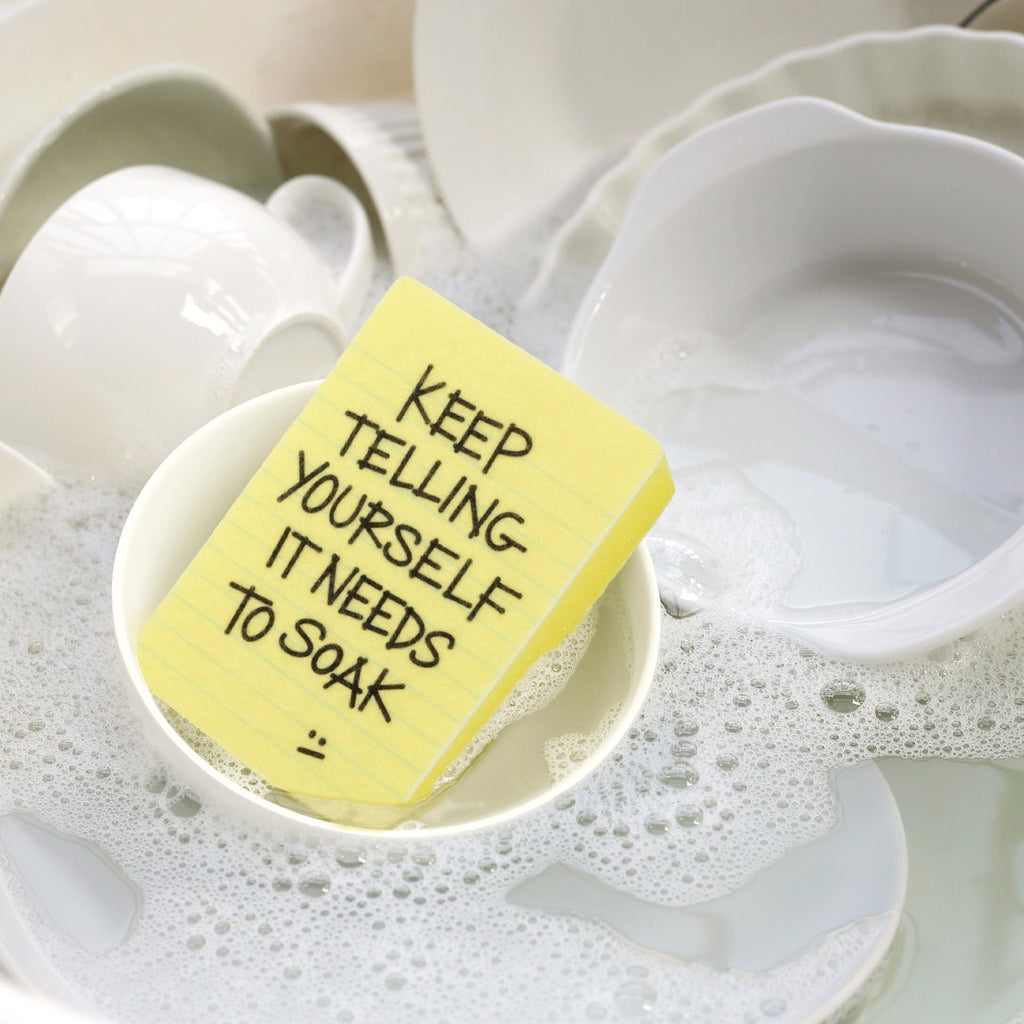 Clean Conscience Passive Aggressive Notes Sponge Set Fred & Friends Home - Kitchen & Dining - Sponges & Cleaning Cloths