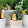 Capybara Plant Markers Gift Republic Home - Garden