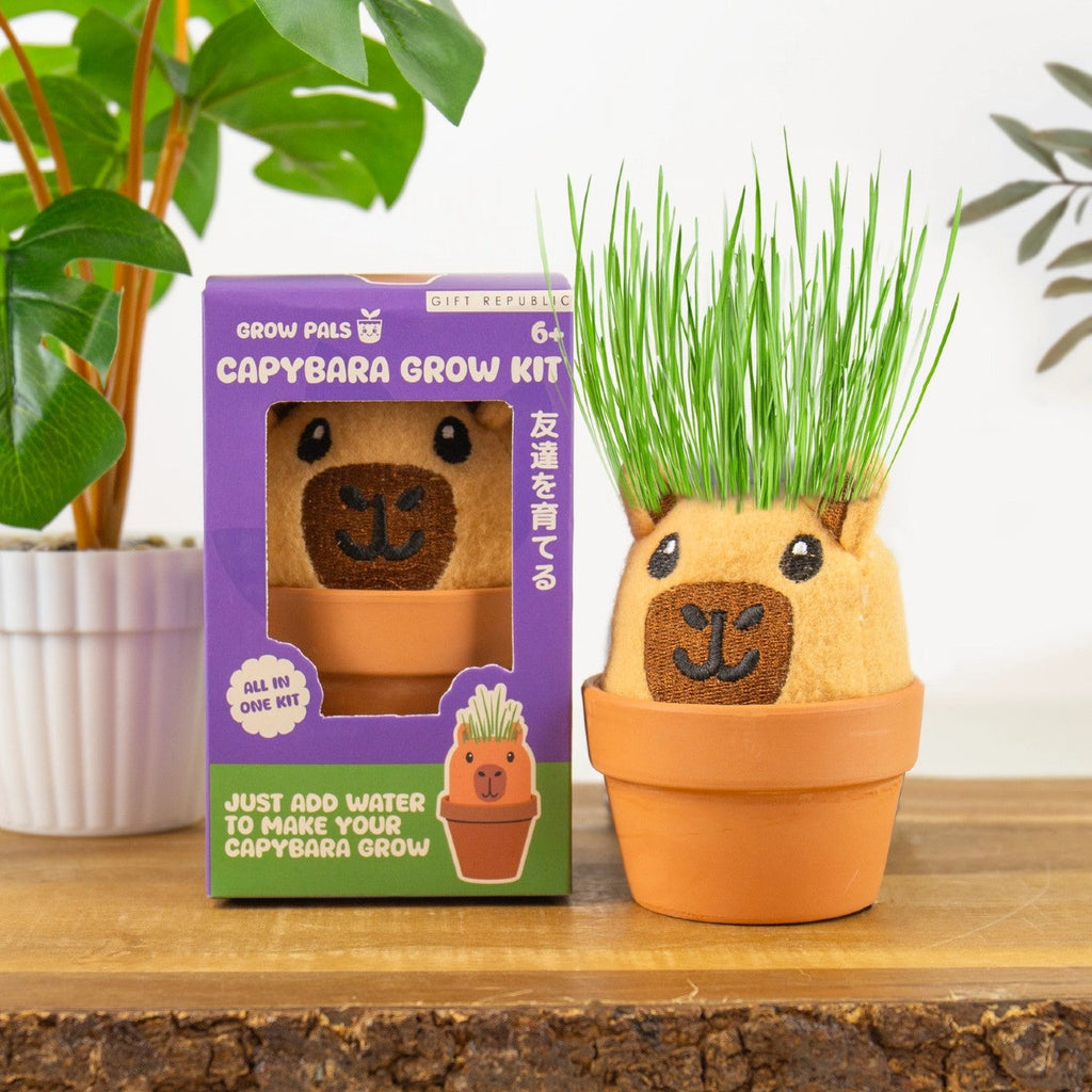 Capybara Grow Pals Kit Gift Republic Home - Garden - Plant & Herb Growing Kits