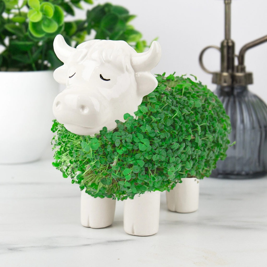 Highland Cow Chia Pet Planter Gift Republic Home - Garden - Vases & Planters