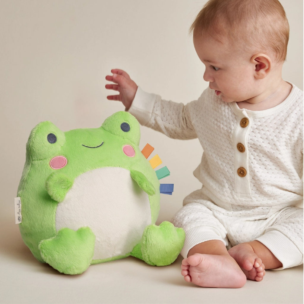 Frog Sweetie Snuggles Plush Itzy Ritzy Baby & Toddler - Baby Toys & Activity Equipment