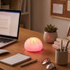 Pookie Mood Dumpling Led Light – Soft Squishy Mood Lamp K Wonderland Toys & Games