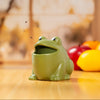 Froggy Fly Trap Kikkerland Home