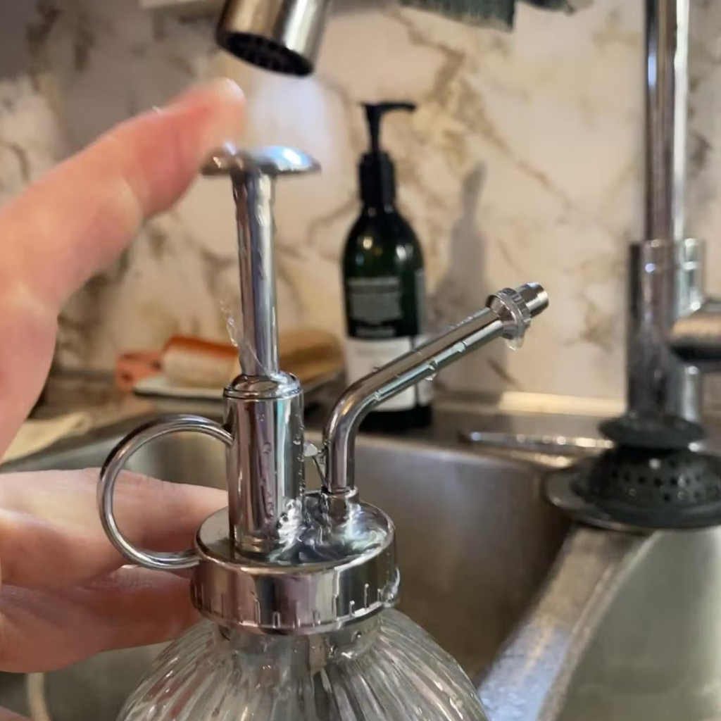 Plant Glass Mister Kikkerland Home - Garden