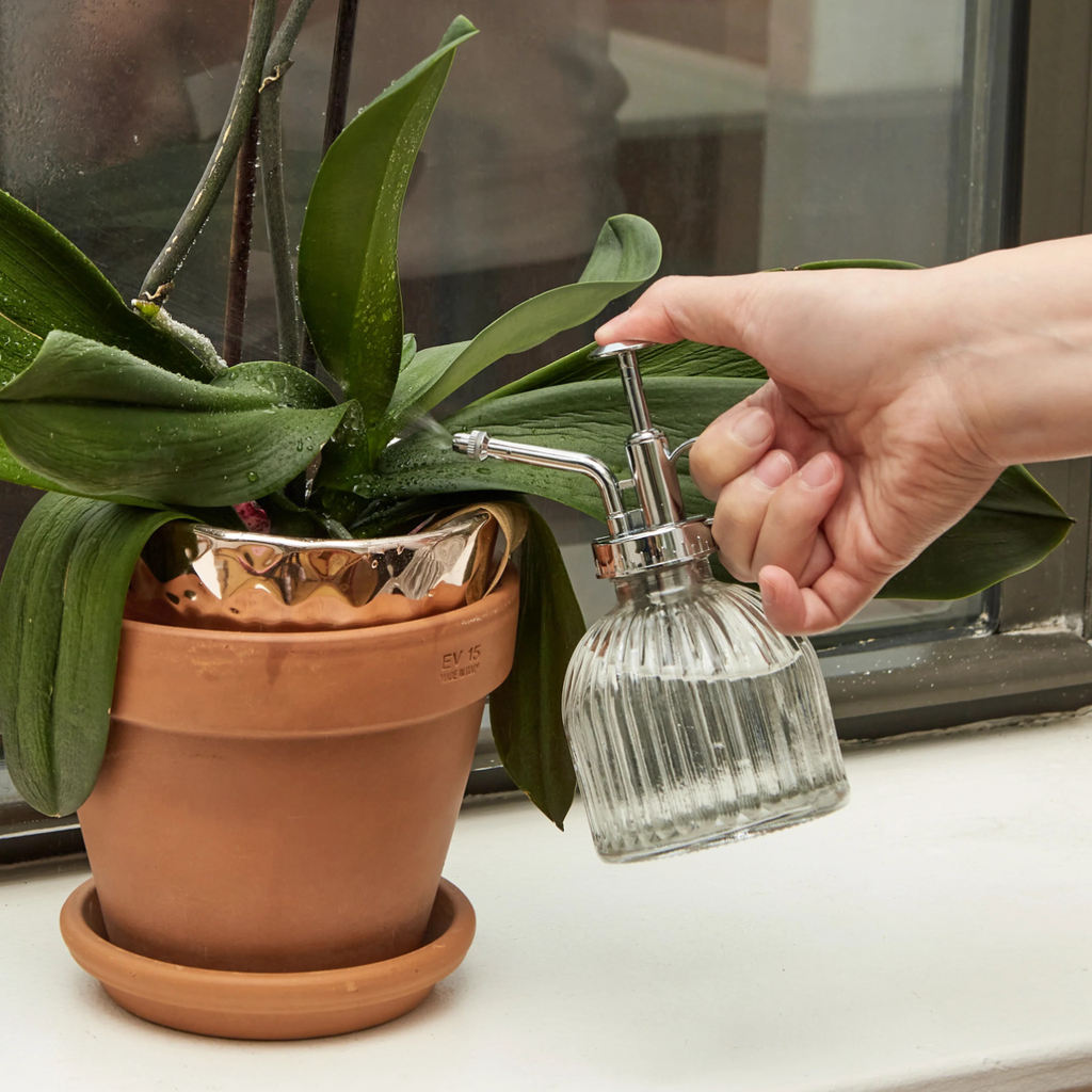 Plant Glass Mister Kikkerland Home - Garden