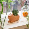 Capybara Planters Kikkerland Home - Garden - Vases & Planters