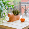 Capybara Planters Kikkerland Home - Garden - Vases & Planters