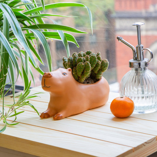 Capybara Planters Kikkerland Home - Garden - Vases & Planters