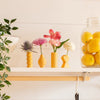 Pasta Bud Vase Set Kikkerland Home - Garden - Vases & Planters