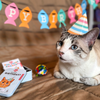Cat Happy Birthday Kit Kikkerland Home - Pet