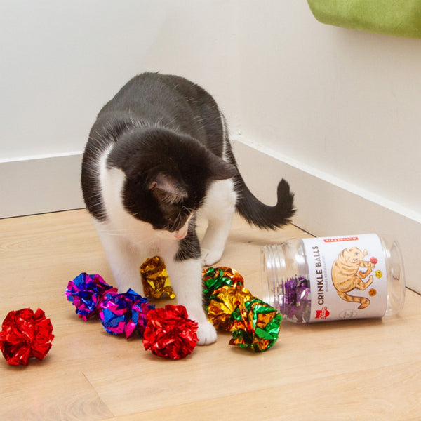 Crinkle Balls - CAT13 Kikkerland Home - Pet