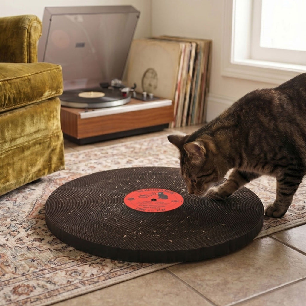 Kiko Cat Record Scratcher Toy Kikkerland Home - Pet