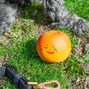 Kobe Peach Fruit Squeaker Toy Kikkerland Home - Pet