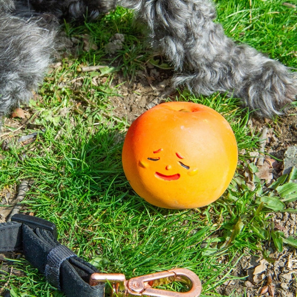 Kobe Peach Fruit Squeaker Toy Kikkerland Home - Pet