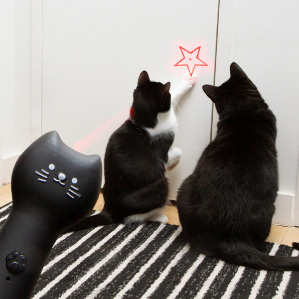 Rechargeable Pounce And Play Laser - CAT12 Kikkerland Home - Pet