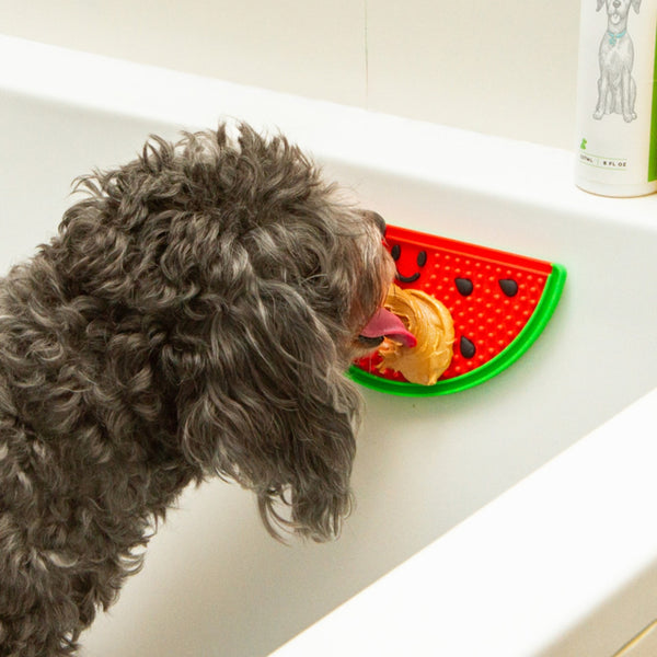 Watermelon Lick Mat - DIG54 Kikkerland Home - Pet