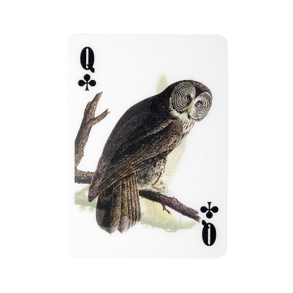Playing Card 3d Birds Kikkerland Toys & Games - Puzzles & Games - Playing Cards