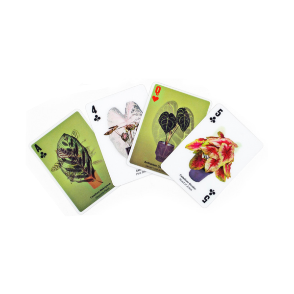3D Plant Playing Cards Kikkerland Toys & Games - Puzzles & Games - Playing Cards