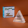 A-Frame Aviary Birds On The Block Bird Feeder Modern Sprout Home - Garden