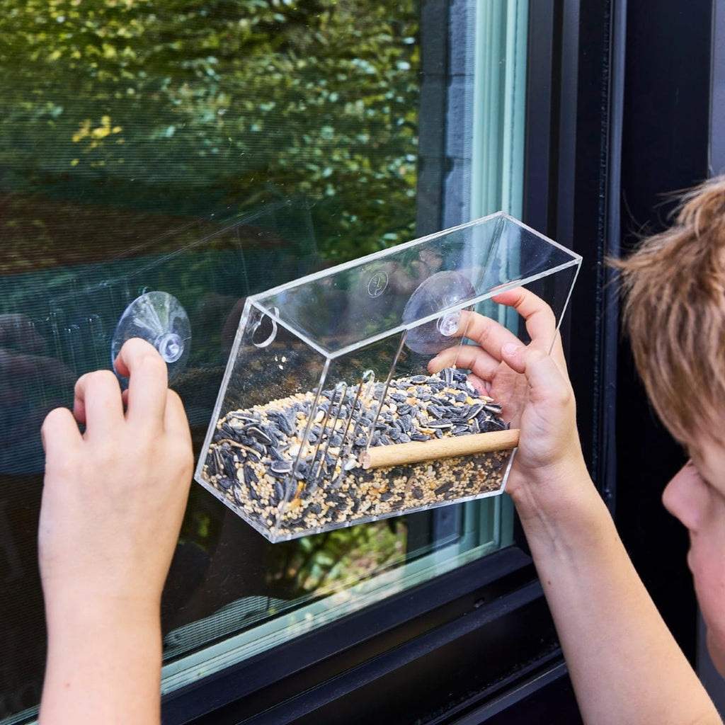 Birds On The Block Bird Feeder Modern Sprout Home - Garden